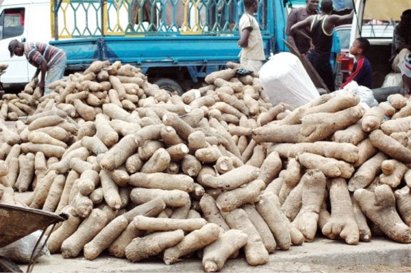 0_1547428804285_Nigeria targets 5,760 tonnes of yam export.jpg
