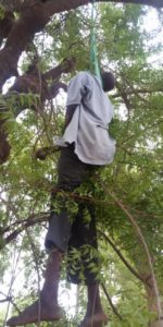 0_1559110973275_Mr-John-Antagav-hanging-on-the-tree.jpg