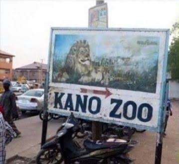 0_1571651189420_kano-zoo.jpeg