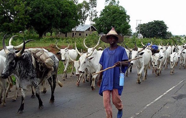 0_1519409172572_Fulani-herdsmen.jpg