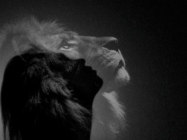 0_1527871969221_lion lady.png