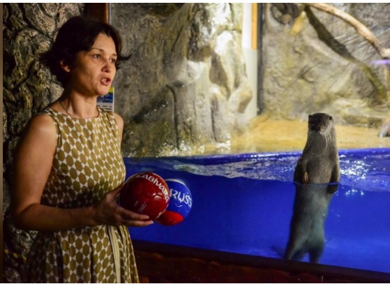 0_1529516586674_Oracle otter sees Russian loss to Uruguay .jpg